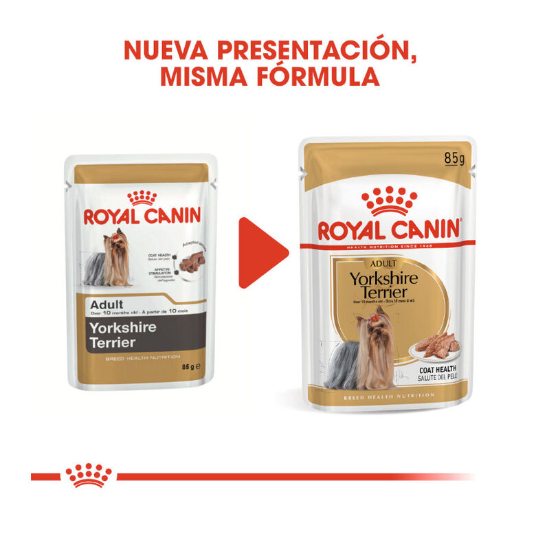 Royal Canin Yorkshire Terrier sobre para perros , , large image number null